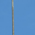 Windmesser ca. 10 m ueber Grund